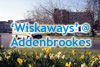 Click here to see our 'Wiskaways' at Addenbrookes Hospital, Cambridge