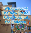 Click here to see our 'Wiskaways' at the new Bristol Royal Hospital for Children
